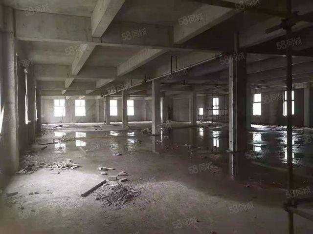 傭金1% 歡迎同行大佬熱推 海門稀缺兩層廠房-圖6