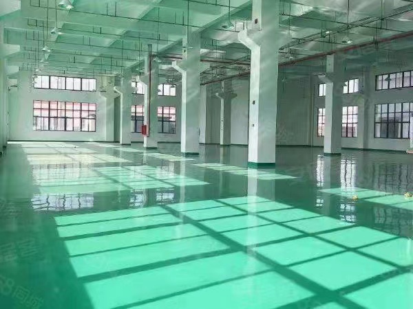 傭金1% 歡迎同行大佬熱推 海門稀缺兩層廠房-圖3