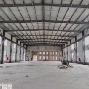 獨棟單層全新高標廠房