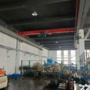 3100元單價  全新小面積雙層廠房
