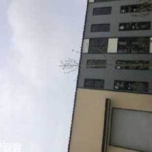 （新）（出售）3成首付，可按揭貸款，高標(biāo)準(zhǔn)廠房