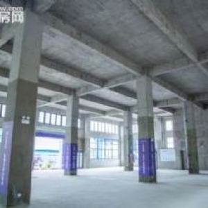 50年大產(chǎn)權(quán)全新一手廠房，價格洼地! ̳