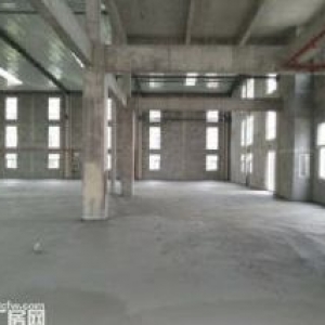 郭總廠房(真實房源)出售南通獨棟標準廠房 100